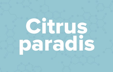 苹果的英文不是apple,苹果的英文发音是apple还是apple