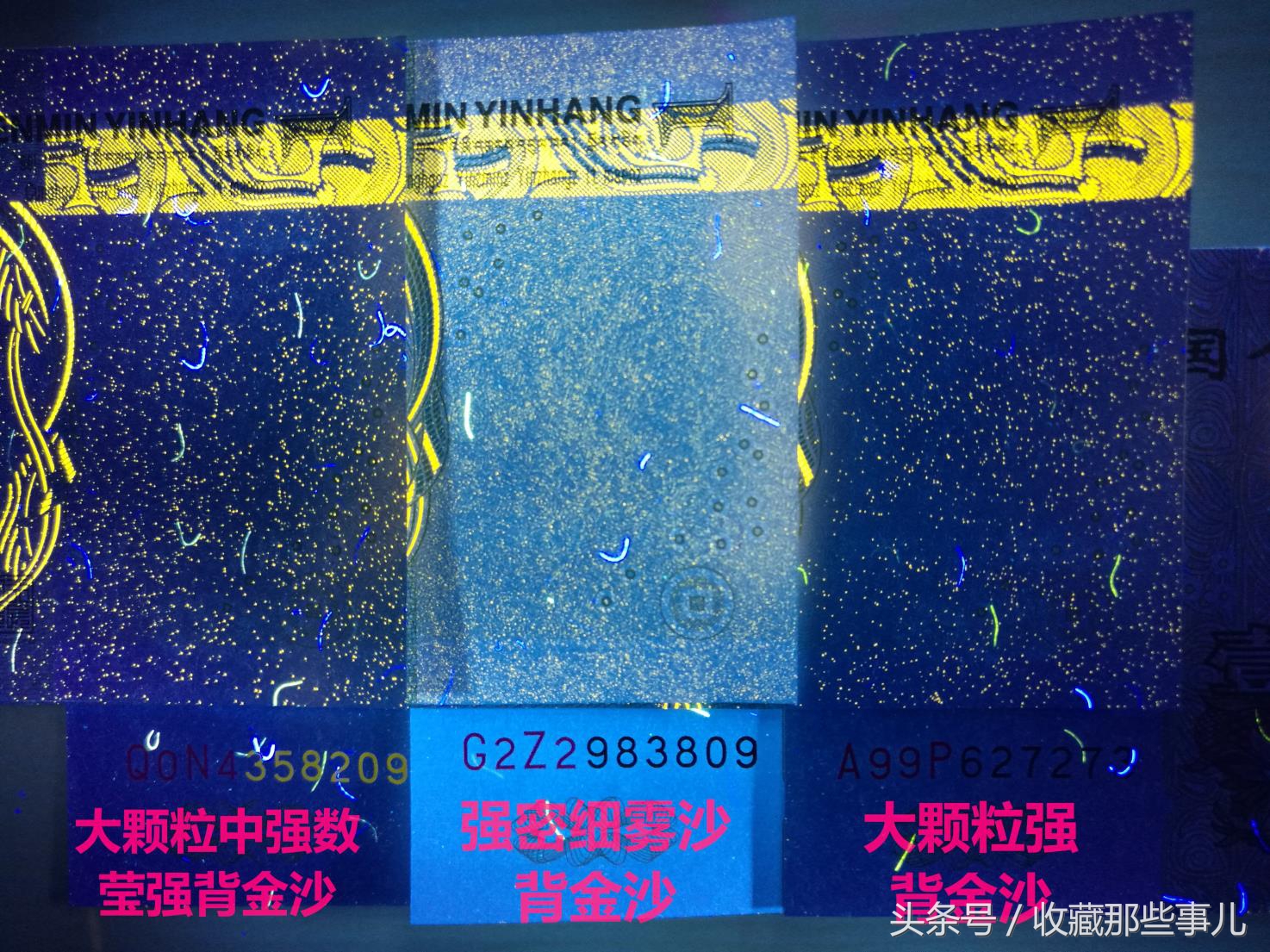 991背金沙荧光币,991荧光品种