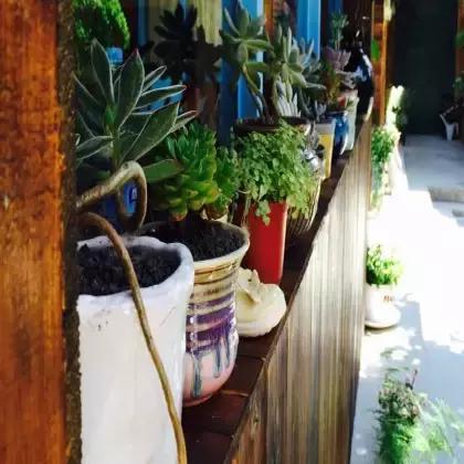 中华小当家国营食客,中华小当家食客反应