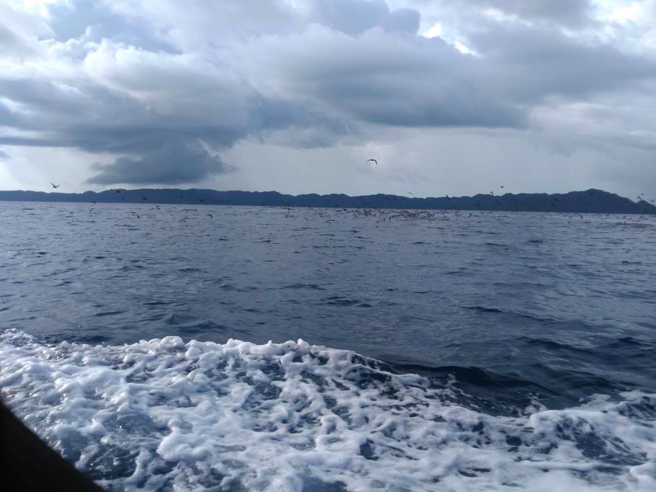 帕劳旅行攻略大全图文,帕劳旅行攻略图文大全