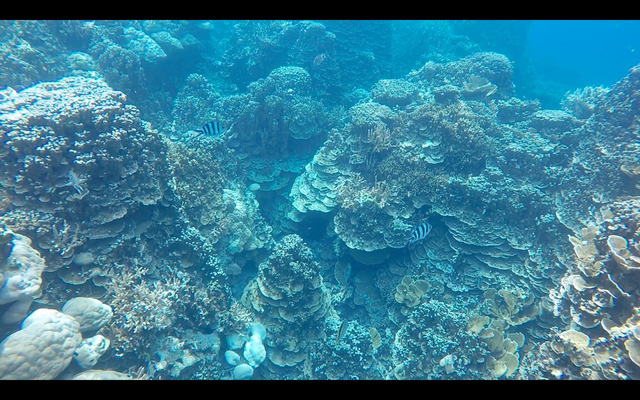 帕劳旅行攻略大全图文,帕劳旅行攻略图文大全