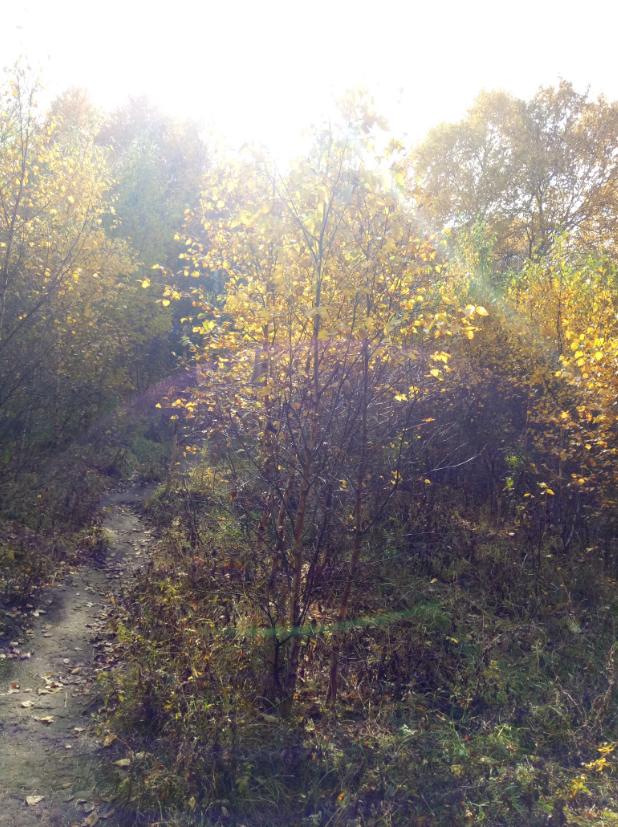 张北天路行,深度还原张北天路