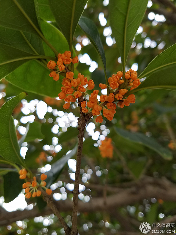 三星s7edge用户感受,三星s7edge还能用吗