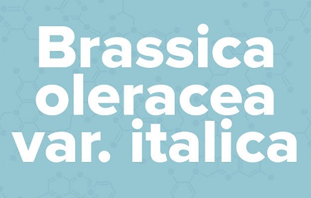 苹果的英文不是apple,苹果的英文发音是apple还是apple