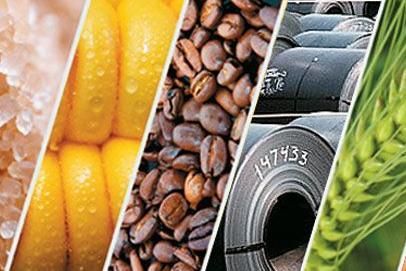 2016年最大的黑天鹅,2016年黑天鹅事件