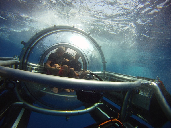 豪华邮轮造价14亿约91亿,亚洲最大邮轮造价70亿