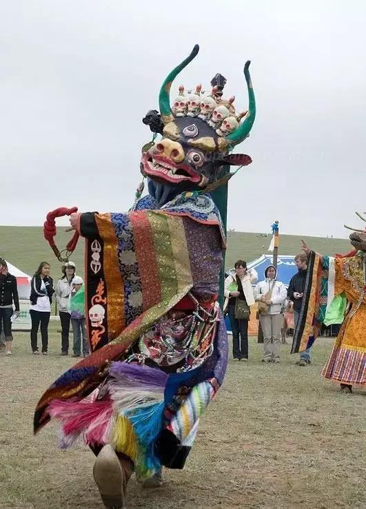 和大象拔河比赛,大象跟大象拔河