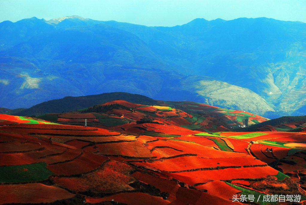 东川红土地距离元谋土林有多远,元谋土林东川红土地