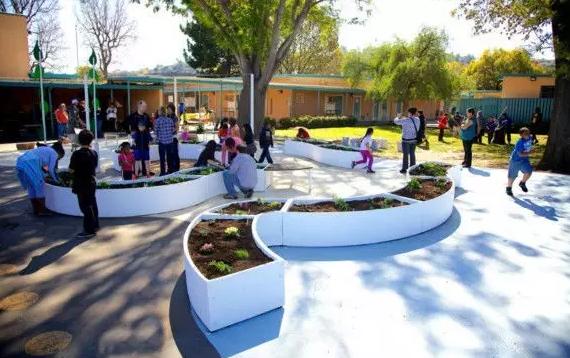 有机农业实例及经典案例,分享生态农场创业的4个技巧