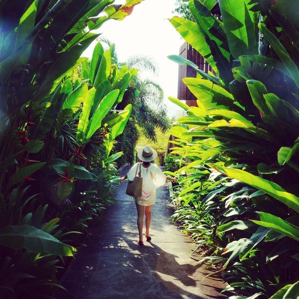 苏梅岛绝美,苏梅岛休闲度假