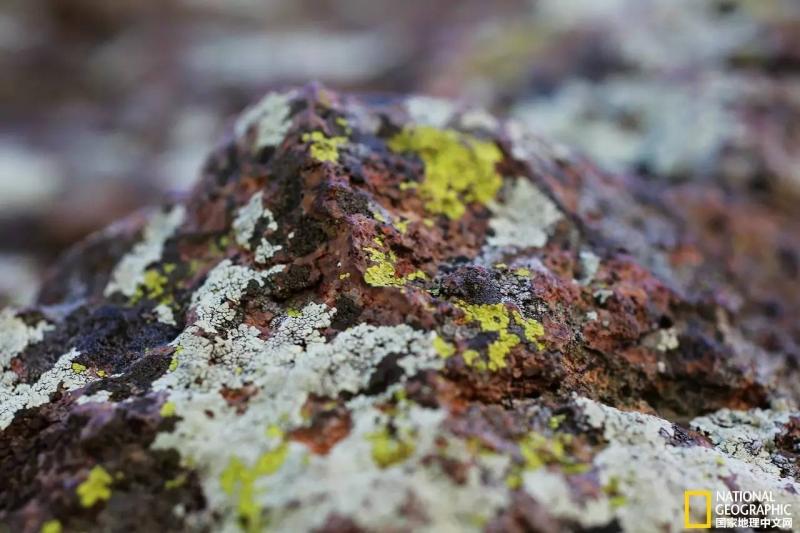 自驾游西部世界,这条世界级的自驾公路