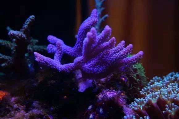 玩的真溜,三千玩出了三万的水平!