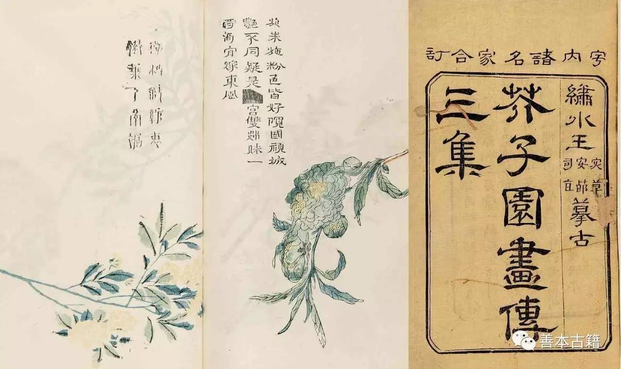 芥子园画传第一册,芥子园画传哪个版本好
