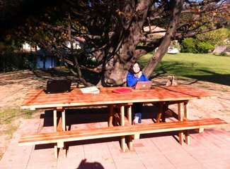 穿越阿尔卑斯雪世界,穿越阿尔卑斯山脉