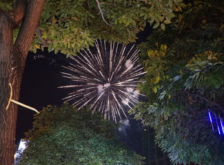 马来西亚半个月旅游,马来西亚暖冬游攻略