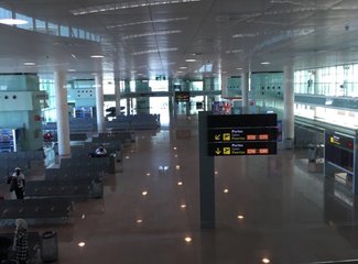 法兰西板鸭,板鸭西班牙语