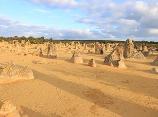 西澳珊瑚海岸3700公里自驾：卡尔巴里-猴子米娅-珊瑚湾-宁加洛珊瑚礁！