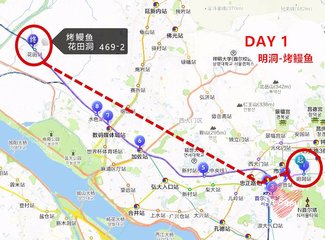 韩国吃喝玩乐旅游攻略,韩国购物攻略100例