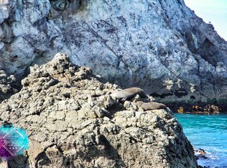 「2016.10RaesTriptoNewZealand」11日初次南半球之纽西兰