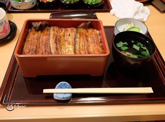 带着24个月小囡十一寸又峡寻密+东京+镰仓伊豆+横渡骏河湾观富士山+附详细交通攻略