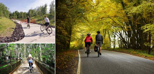 渠县有几个旅游公园,渠县文峰山公园七彩花田