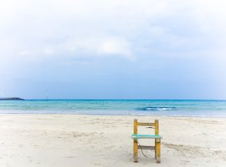 济州岛游记记录,济州岛的春天旅行日记
