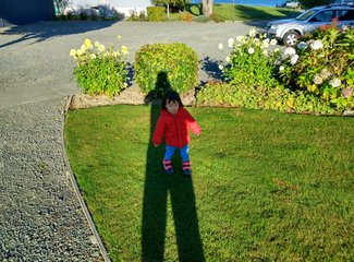 《小丫头的奇异之旅》第11章，第十天，周三