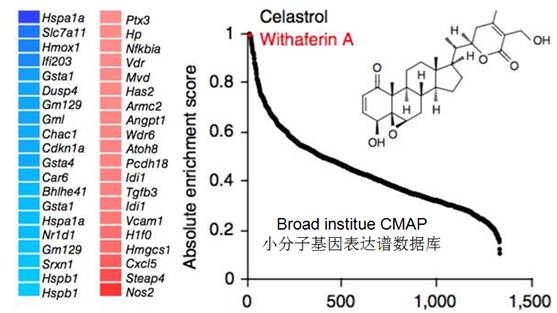 雨里：小分子药物发现的新技术和新思维