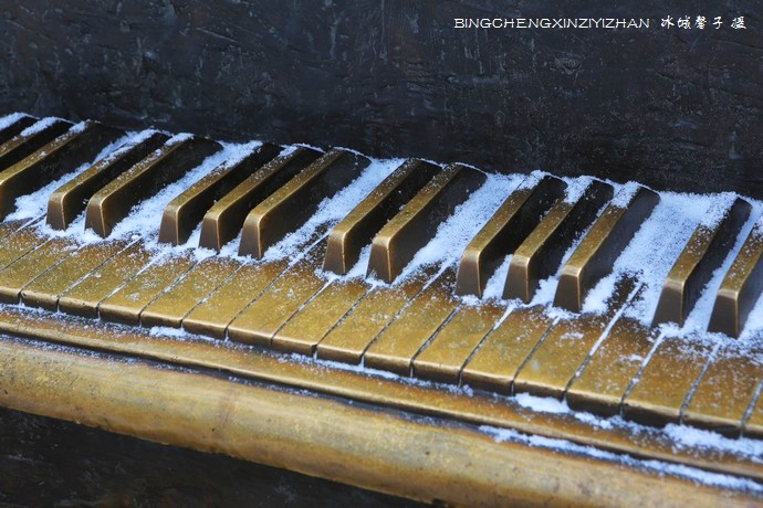 哈尔滨太阳岛的冬天照片,哈尔滨太阳岛的冬天有多美