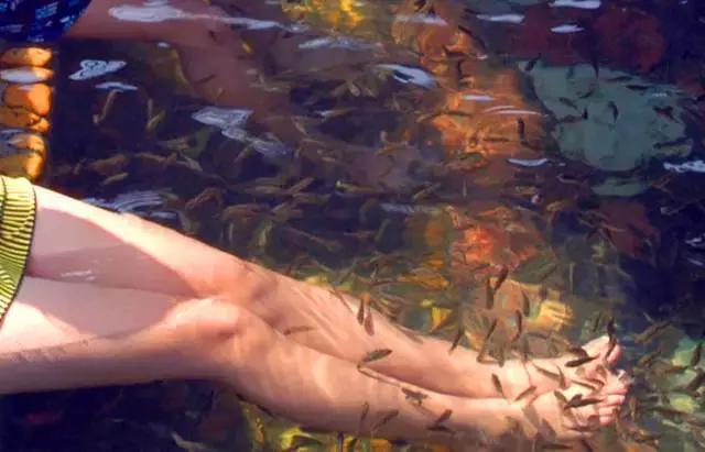 清远英德奇洞温泉小镇,英德奇洞温泉度假村