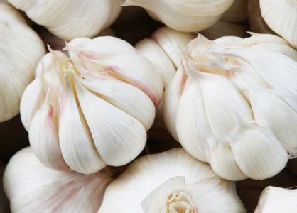 20种天然地道食材,20种天然食物排行榜