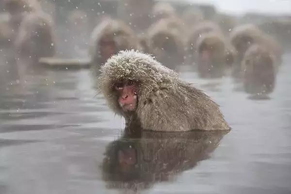 泡温泉是养生之道,湿寒体质泡温泉效果好吗