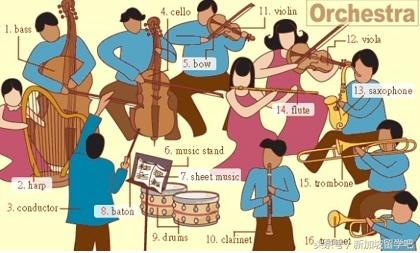 英语生活词汇图,36张图记住英语中所有生活用词