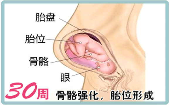 30周有宫缩要注意什么,从怀孕到育儿注意事项