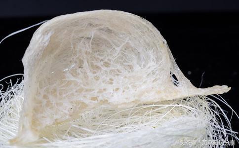 真假燕窝吃起来有什么区别呢,如何鉴别燕窝的好与坏