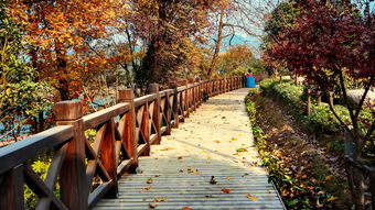 100句情感语录,500字经典情感语录