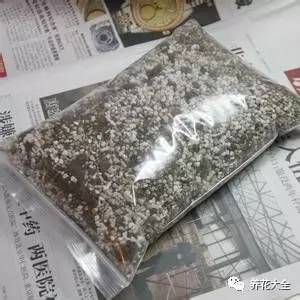 花死了花盆要不要扔,花死了要不要扔