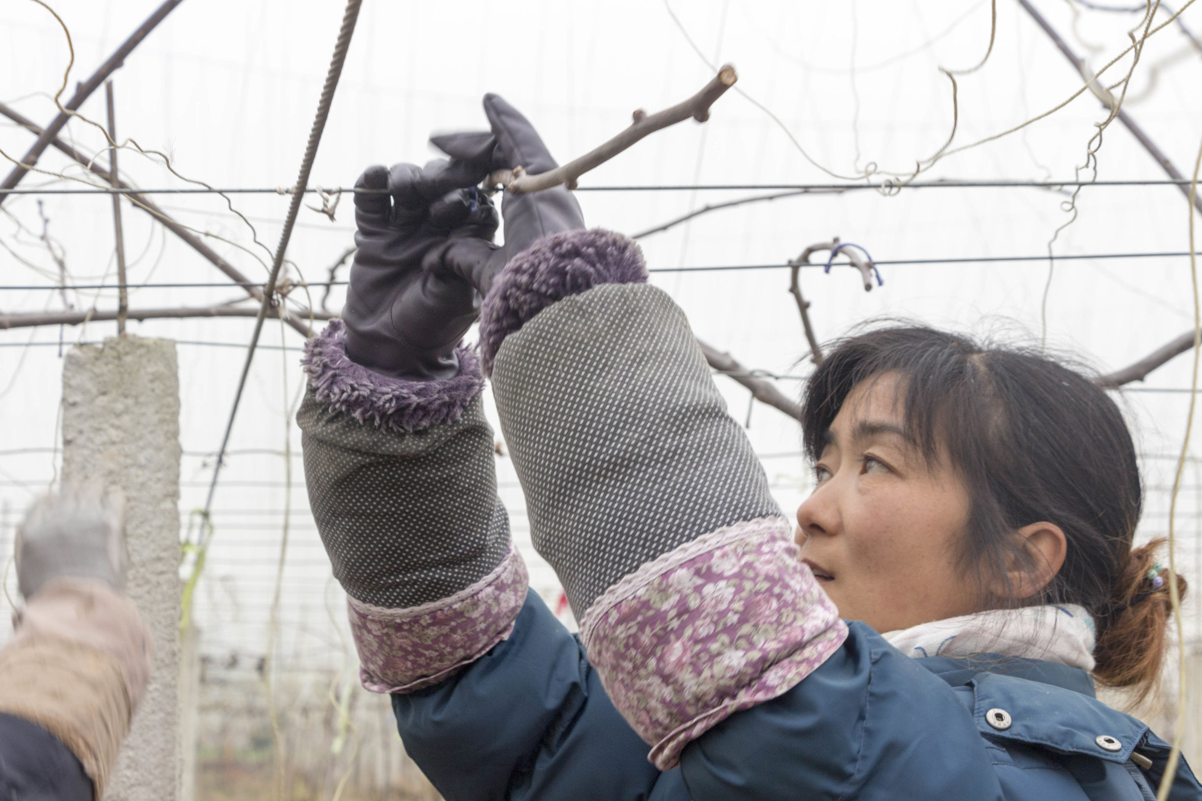 外出务工农民可以享受土地承包吗,农民承包土地获得劳动报酬