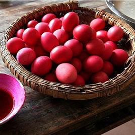 红壳鸡蛋与白壳鸡蛋功效有区别吗,鸡蛋白壳与红壳有什么区别