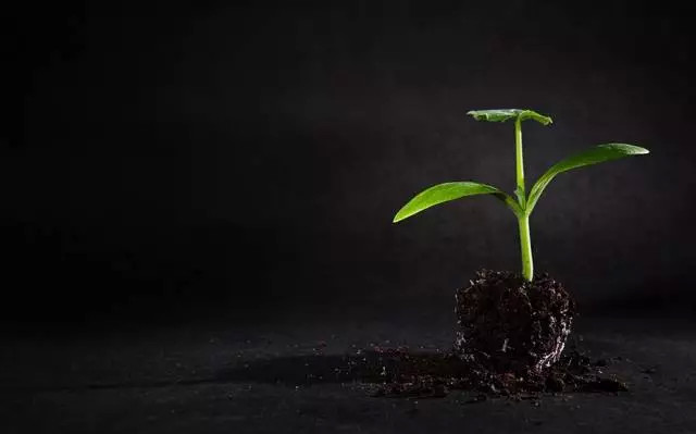 从零开始做淘宝客实操干货,怎样把淘宝客做到爆款