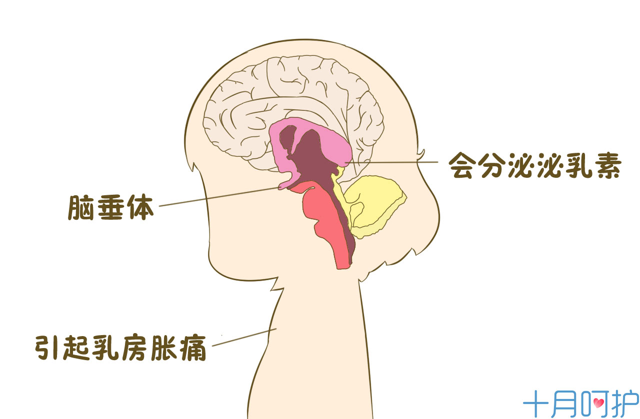 孕期不适症状的应对以及分娩,如何克服怀孕分娩生理疼痛的恐惧
