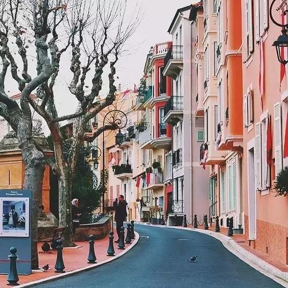 和大象拔河比赛,大象跟大象拔河