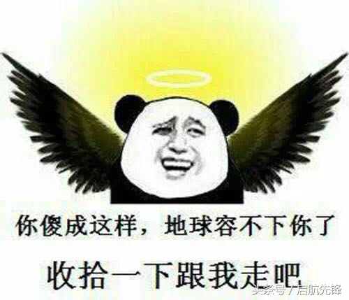 小型金融公司的未来,小小金融的发展史