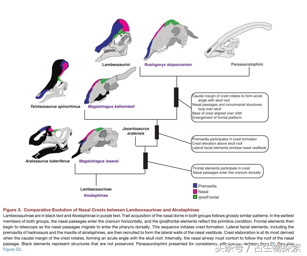 2021年神兽大全,1-8世代神兽盘点
