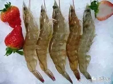 福建十大公认最好吃的菜,福建海鲜美食排行榜前十名