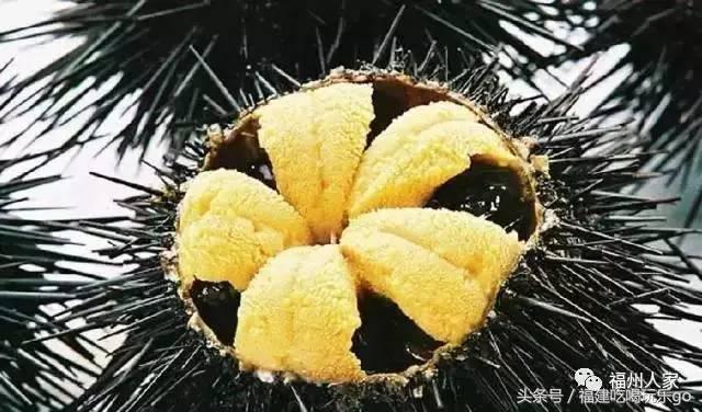 福建十大公认最好吃的菜,福建海鲜美食排行榜前十名