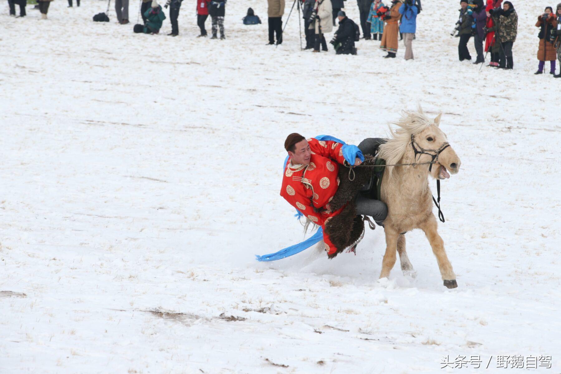 锡林郭勒盟那达慕自驾攻略,锡林郭勒冰雪那达慕完整版