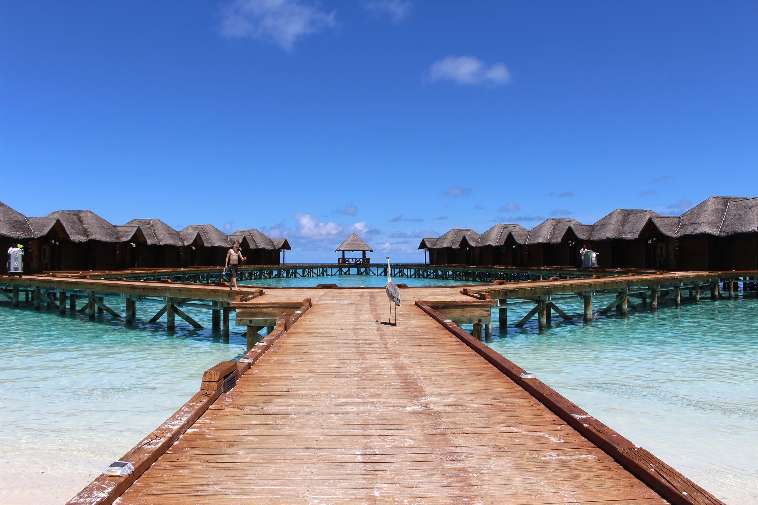 马尔代夫最美景色,最美马尔代夫风景