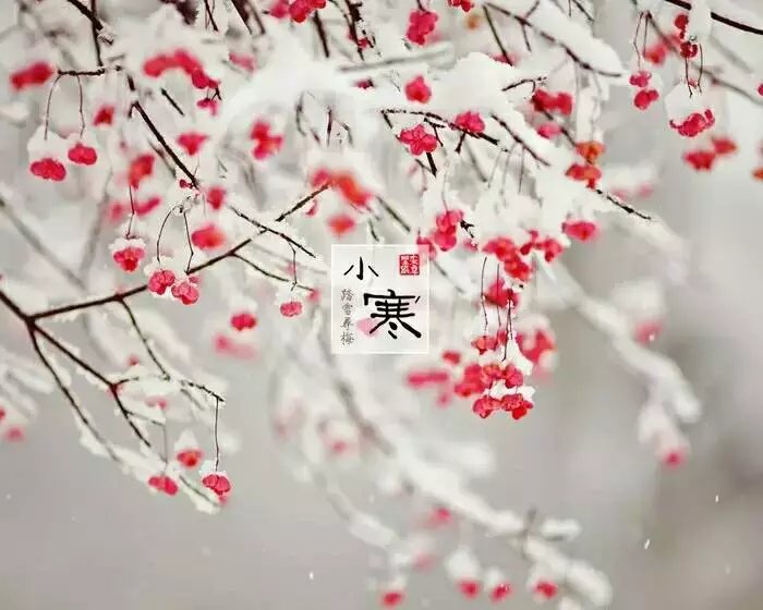 风吹腊梅香的诗句,风吹腊梅香时至小寒