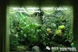 看，支付宝是如何谋财害命的